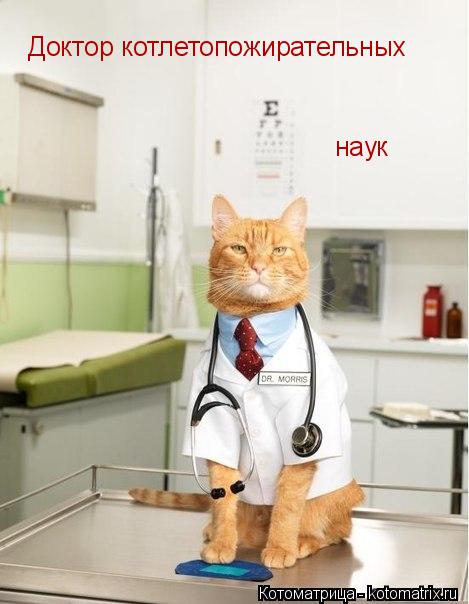 Доктор котлетопожирательных наук... Котоматрица: Доктор котлетопожирательных наук