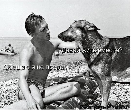 Котоматрица: Давай жить вместе? Обещаю я не предам