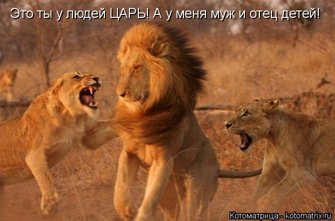 Это ты у людей ЦАРЬ! А у меня муж и отец детей!... Котоматрица: Это ты у людей ЦАРЬ! А у меня муж и отец детей!
