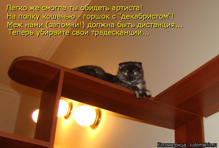 Легко же смогла ты обидеть артиста! На полку кошачью - горшок с "декабристом"! Меж нами (запомни!) до... Котоматрица: Легко же смогла ты обидеть артиста! На полку кошачью - горшок с "декабристом"! Меж нами (запомни!) должна быть дистанция... Теперь убирайте сво