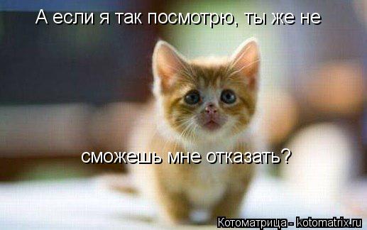 А если я так посмотрю, ты же не сможешь мне отказать?... Котоматрица: А если я так посмотрю, ты же не сможешь мне отказать?