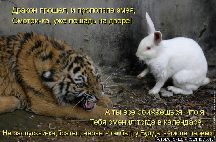 Дракон прошел, и проползла змея, Смотри-ка, уже лошадь на дворе! А ты все обижаешься, что я Тебя смен... Котоматрица: Дракон прошел, и проползла змея, Смотри-ка, уже лошадь на дворе! А ты все обижаешься, что я Тебя сменил тогда в календаре. Не распускай-ка,брат
