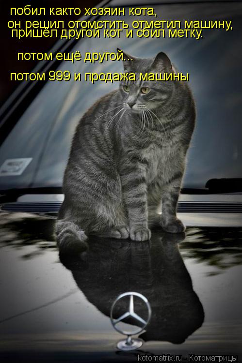 побил както хозяин кота, он решил отомстить отметил машину, пришёл другой кот и сбил метку. потом ещё... Котоматрица: побил както хозяин кота, он решил отомстить отметил машину, пришёл другой кот и сбил метку. потом ещё другой... потом 999 и продажа машины