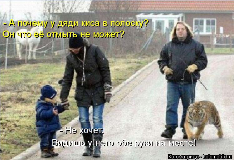 Котоматрица: - А почему у дяди киса в полоску?  Он что её отмыть не может? Видишь у него обе руки на месте! - Не хочет.