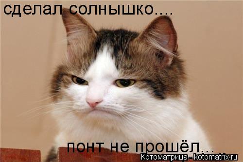 сделал солнышко.... понт не прошёл...... Котоматрица: сделал солнышко.... понт не прошёл...