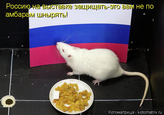 Россию на выставке защищать-это вам не по амбарам шнырять!... Котоматрица: Россию на выставке защищать-это вам не по амбарам шнырять!