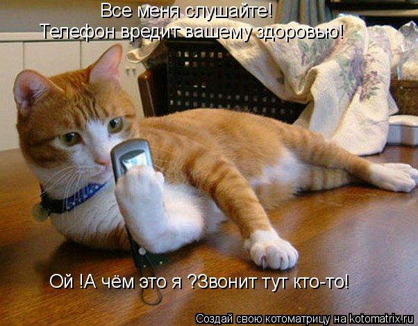 Все меня слушайте! Телефон вредит вашему здоровью! Ой !А чём это я ?Звонит тут кто-то!... Котоматрица: Все меня слушайте! Телефон вредит вашему здоровью! Ой !А чём это я ?Звонит тут кто-то!