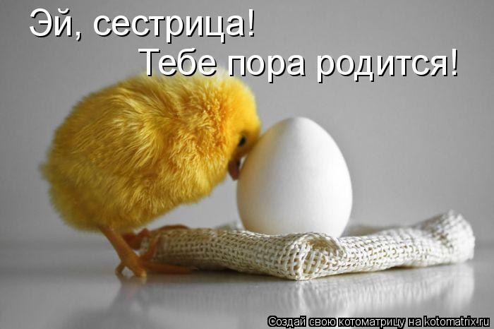 Котоматрица: Эй, сестрица! Тебе пора родится!