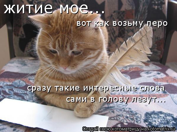 житие мое... вот как возьму перо сразу такие интересные слова сами в голову лезут...... Котоматрица: житие мое... вот как возьму перо сразу такие интересные слова сами в голову лезут...