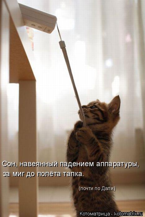 Сон, навеянный падением аппаратуры, за миг до полёта тапка. (почти по Дали)... Котоматрица: Сон, навеянный падением аппаратуры, за миг до полёта тапка. (почти по Дали)