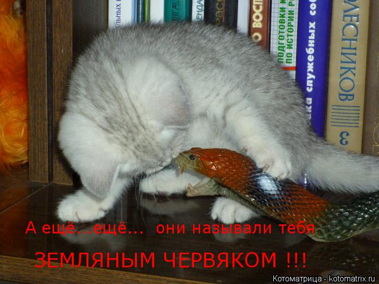 Котоматрица: А ещё...ещё...  они называли тебя ЗЕМЛЯНЫМ ЧЕРВЯКОМ !!!
