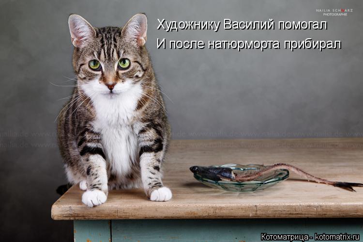 Котоматрица: Художнику Василий помогал И после натюрморта прибирал