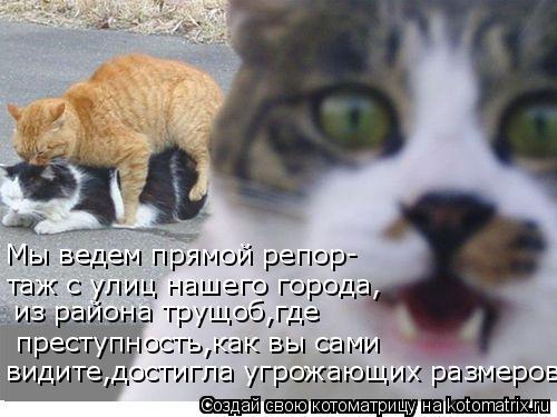 преступность,как вы сами видите,достигла угрожающих размеров!.. из района трущоб,где Мы ведем прямой... Котоматрица: преступность,как вы сами видите,достигла угрожающих размеров!.. из района трущоб,где Мы ведем прямой репор- таж с улиц нашего города,