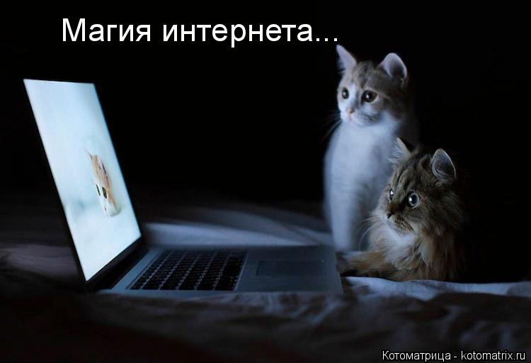 Магия интернета...... Котоматрица: Магия интернета...