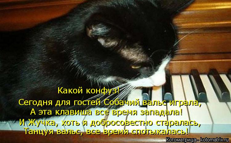 Котоматрица: Сегодня для гостей Собачий вальс играла, А эта клавиша все время западала! И Жучка, хоть я добросовестно старалась, Танцуя вальс, все время с
