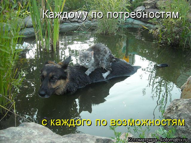 Котоматрица: Каждому по потребностям, с каждого по возможностям