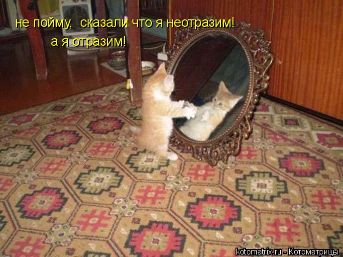 не пойму, сказали что я неотразим! а я отразим!... Котоматрица: не пойму, сказали что я неотразим! а я отразим!