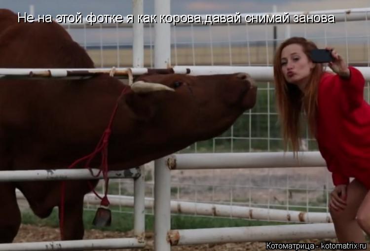Котоматрица: Не на этой фотке я как корова,давай снимай занова