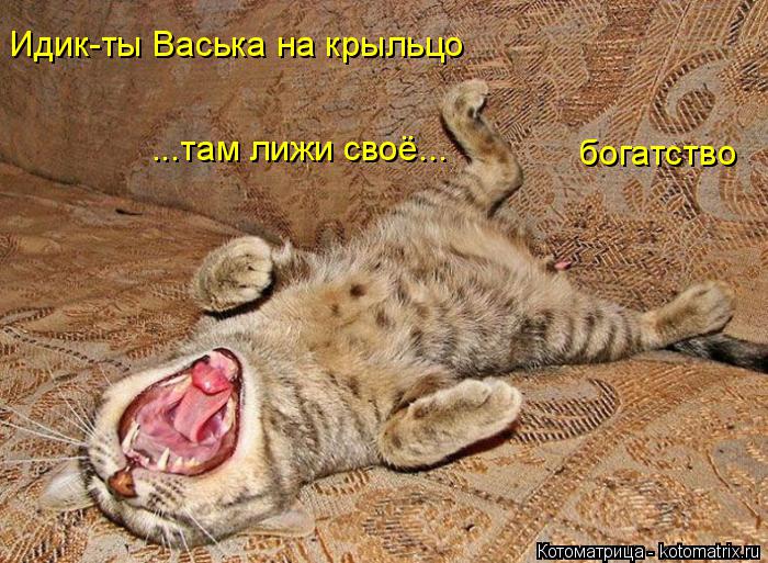 Котоматрица: Идик-ты Васька на крыльцо ...там лижи своё... богатство