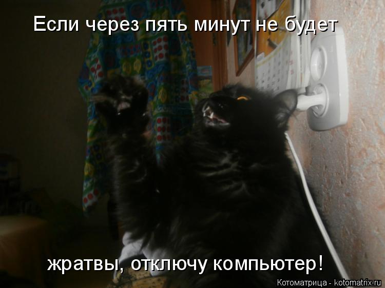 Если через пять минут не будет жратвы, отключу компьютер!... Котоматрица: Если через пять минут не будет жратвы, отключу компьютер!