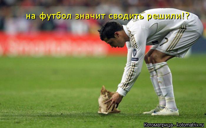 Котоматрица: на футбол значит сводить решили!?