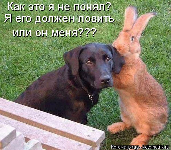 кто ловил тот поймет кто ловил тот поймет
