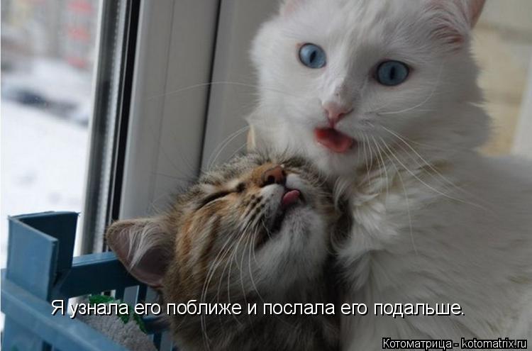 Котоматрица: Я узнала его поближе и послала его подальше.