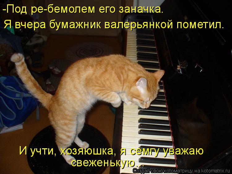 Котоматрица: -Под ре-бемолем его заначка. Я вчера бумажник валерьянкой пометил. свеженькую... И учти, хозяюшка, я семгу уважаю