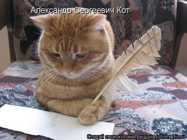 Александр Сергеевич Кот... Котоматрица: Александр Сергеевич Кот