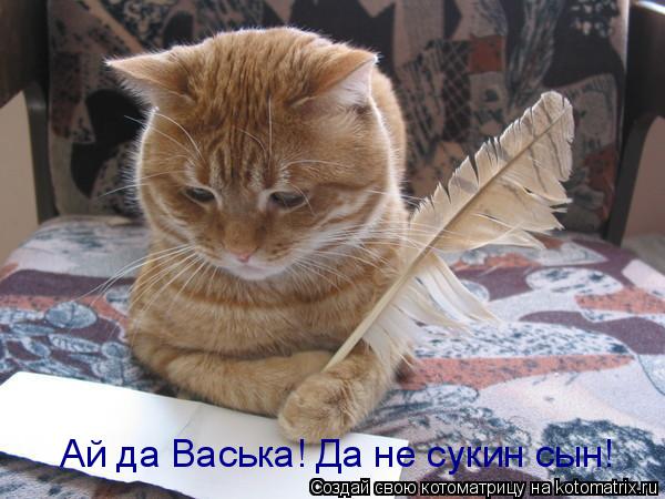 Ай да Васька! Да не сукин сын!... Котоматрица: Ай да Васька! Да не сукин сын!
