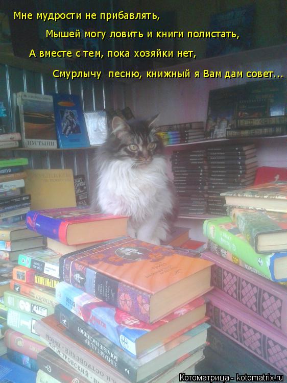 Котоматрица: Мне мудрости не прибавлять, Мышей могу ловить и книги полистать, А вместе с тем, пока хозяйки нет, Смурлычу  песню, книжный я Вам дам совет...