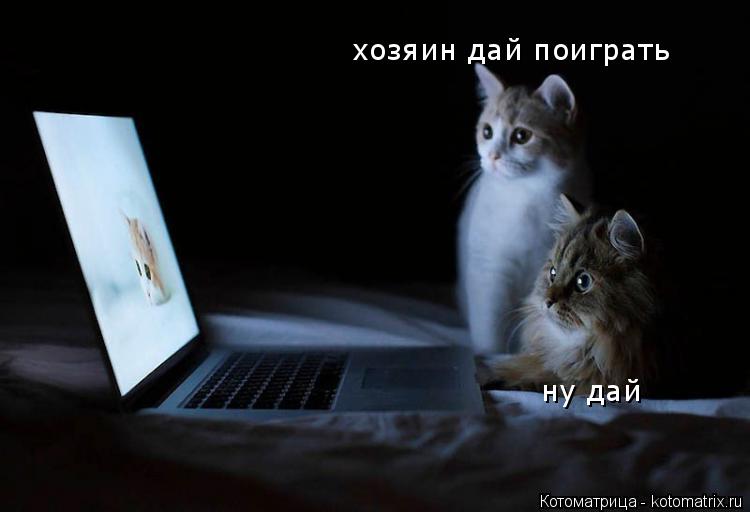 Котоматрица: хозяин дай поиграть ну дай
