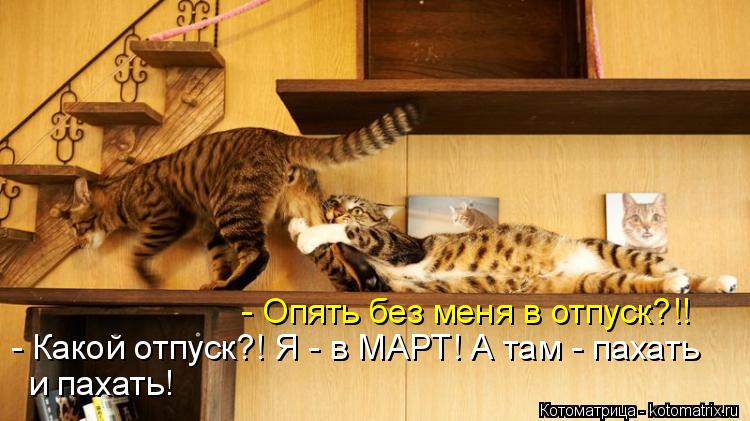 Котоматрица: - Опять без меня в отпуск?!! - Какой отпуск?! Я - в МАРТ! А там - пахать и пахать!