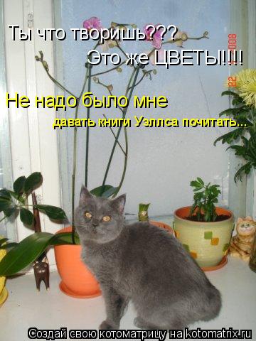 Котоматрица: Ты что творишь??? Это же ЦВЕТЫ!!!! Не надо было мне давать книги Уэллса почитать...