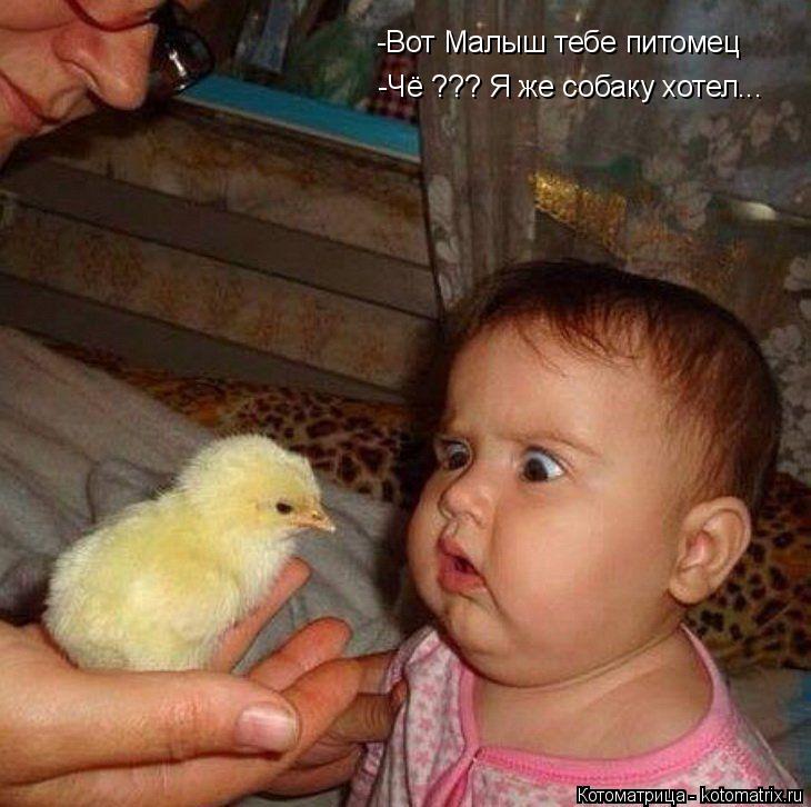 Котоматрица: -Вот Малыш тебе питомец -Чё ??? Я же собаку хотел...