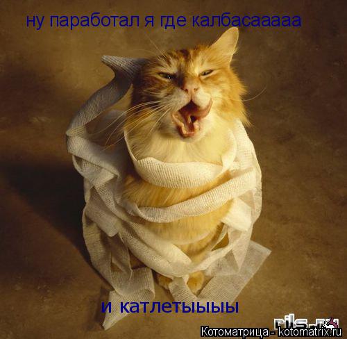 Котоматрица: и катлетыыыы ну паработал я где калбасааааа