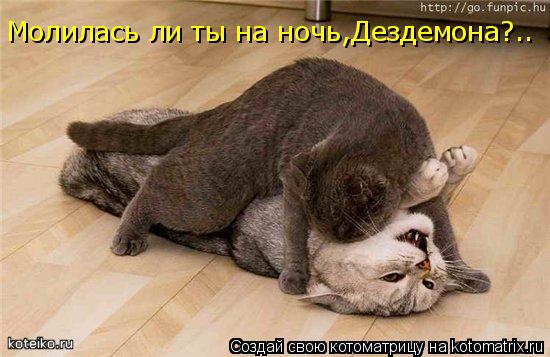 Котоматрица: Молилась ли ты на ночь,Дездемона?..