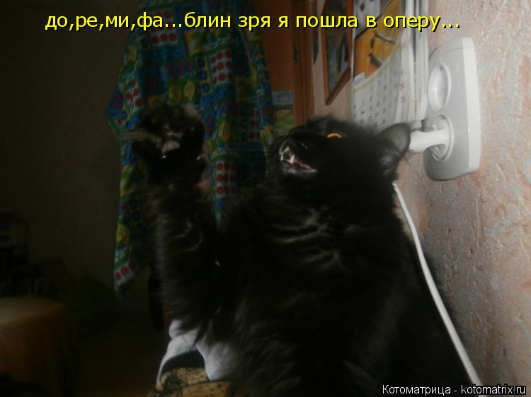 Котоматрица: до,ре,ми,фа...блин зря я пошла в оперу...