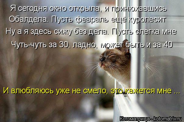 Котоматрица: Я сегодня окно открыла, и принюхавшись Обалдела. Пусть февраль ещё куролесит Чуть-чуть за 30, ладно, может быть и за 40 Ну а я здесь сижу без дел