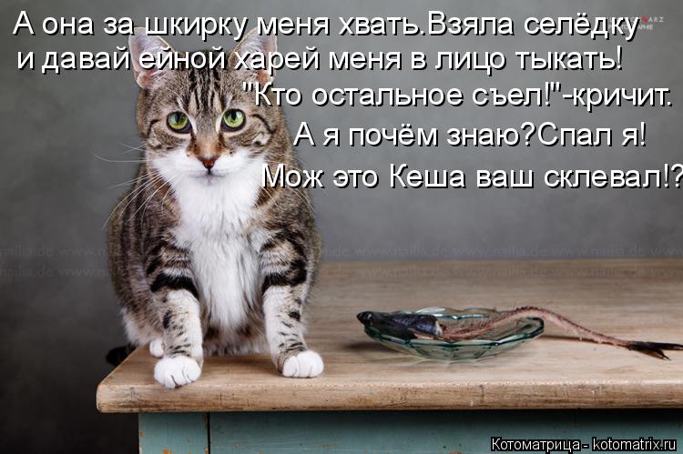 Котоматрица: А она за шкирку меня хвать.Взяла селёдку и давай ейной харей меня в лицо тыкать! "Кто остальное съел!"-кричит. А я почём знаю?Спал я! Мож это Ке