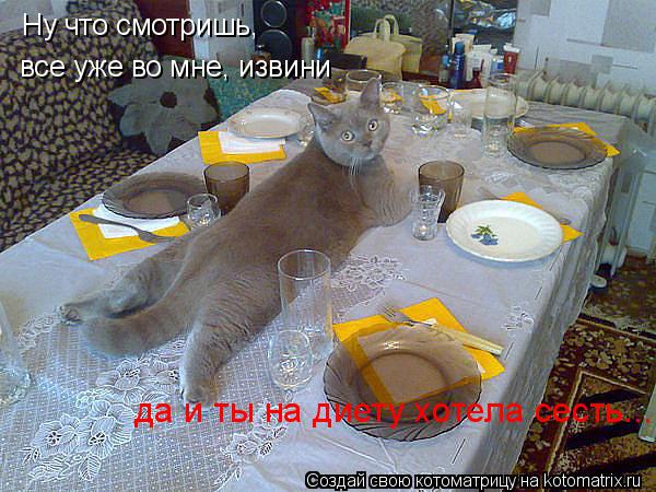 Котоматрица: Ну что смотришь,  все уже во мне, извини да и ты на диету хотела сесть...