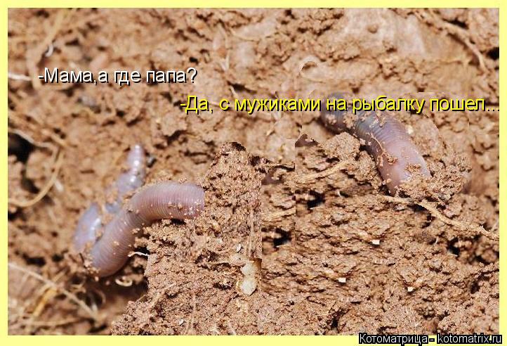 -Мама,а где папа? -Да, с мужиками на рыбалку пошел...... Котоматрица: -Мама,а где папа? -Да, с мужиками на рыбалку пошел...