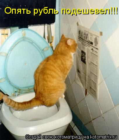 Котоматрица: Опять рубль подешевел!!!