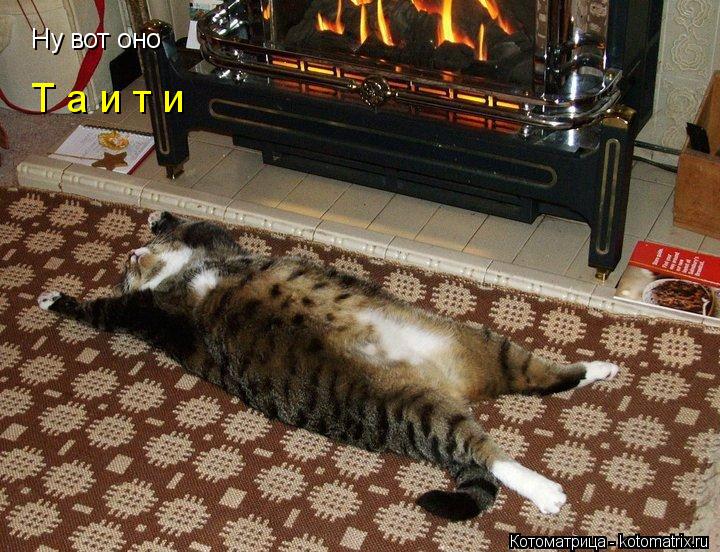 Котоматрица: Ну вот оно Т а и т и