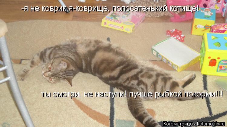 Котоматрица: -я не коврик,я-коврище, полосатенький котище! ты смотри, не наступи! лучше рыбкой покорми!!!