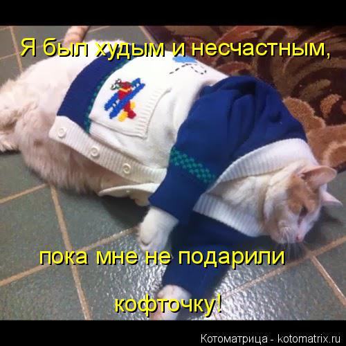 Я был худым и несчастным, пока мне не подарили кофточку!... Котоматрица: Я был худым и несчастным, пока мне не подарили кофточку!