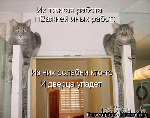 Котоматрица: Их тяжкая работа  	Важней иных работ: Из них ослабни кто-то  И дверца упадет