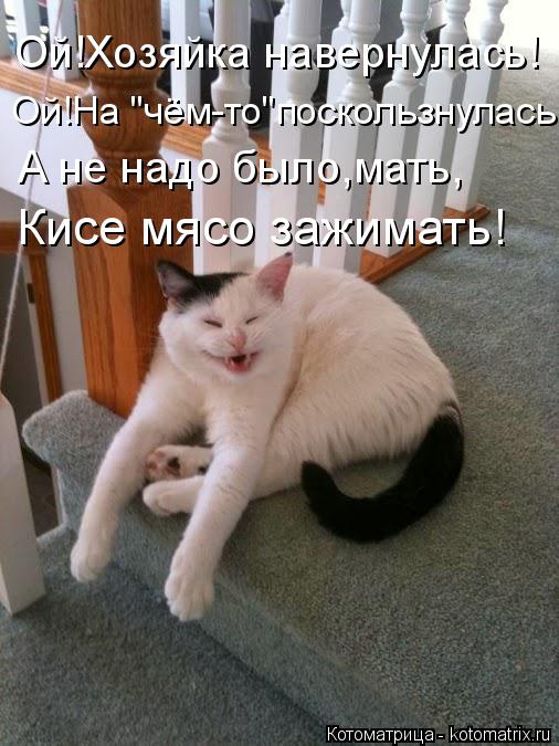 Ой!Хозяйка навернулась! Ой!На "чём-то"поскользнулась. А не надо было,мать, Кисе мясо зажимать!... Котоматрица: Ой!Хозяйка навернулась! Ой!На "чём-то"поскользнулась. А не надо было,мать, Кисе мясо зажимать!