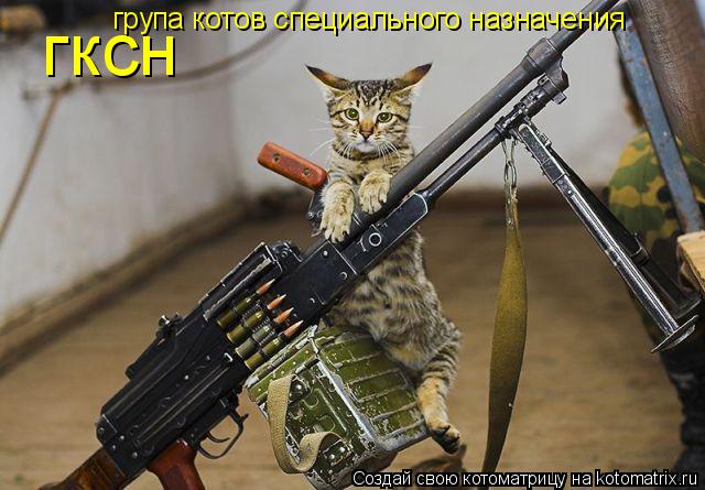 Котоматрица: гксн група котов специального назначения
