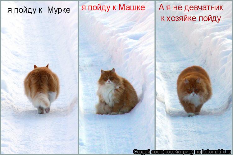 я пойду к Мурке я пойду к Машке А я не девчатник к хозяйке пойду... Котоматрица: я пойду к Мурке я пойду к Машке А я не девчатник к хозяйке пойду